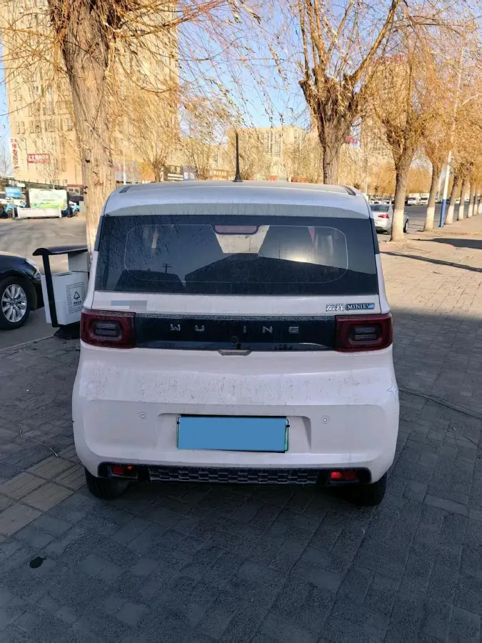 2020 WuLing HongGuang MINI EV BEV 9.3KWH,autocango,china used car exporter,china ev exporter,chinese used car exporter,chinese used ev exporter