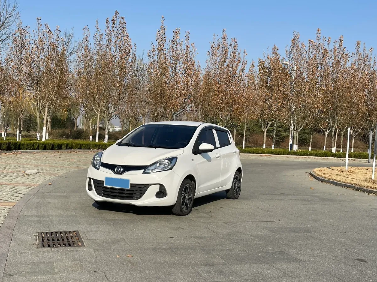 2021 ChangAn BenBen E-Star BEV 31.95KWH,autocango,china used car exporter,china ev exporter,chinese used car exporter,chinese used ev exporter