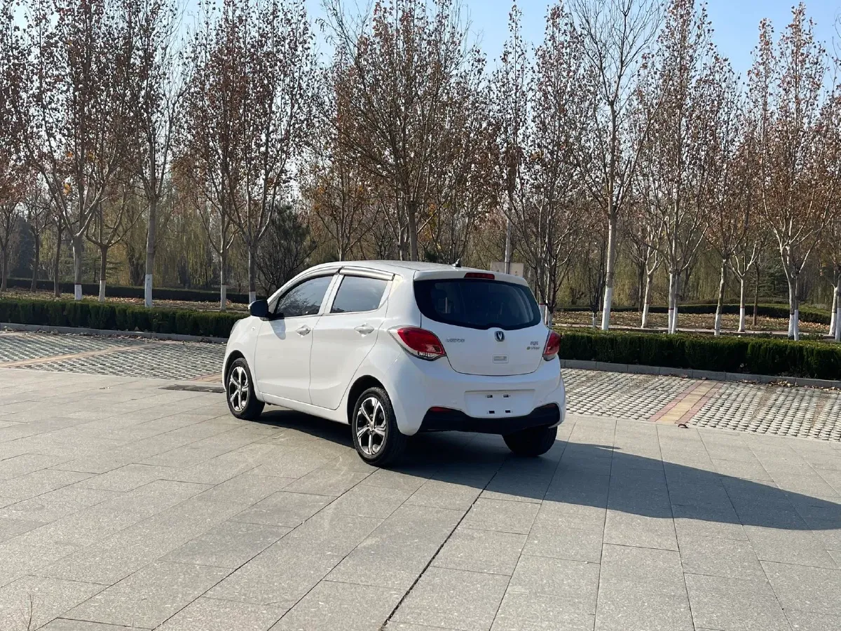 2021 ChangAn BenBen E-Star BEV 31.95KWH,autocango,china used car exporter,china ev exporter,chinese used car exporter,chinese used ev exporter