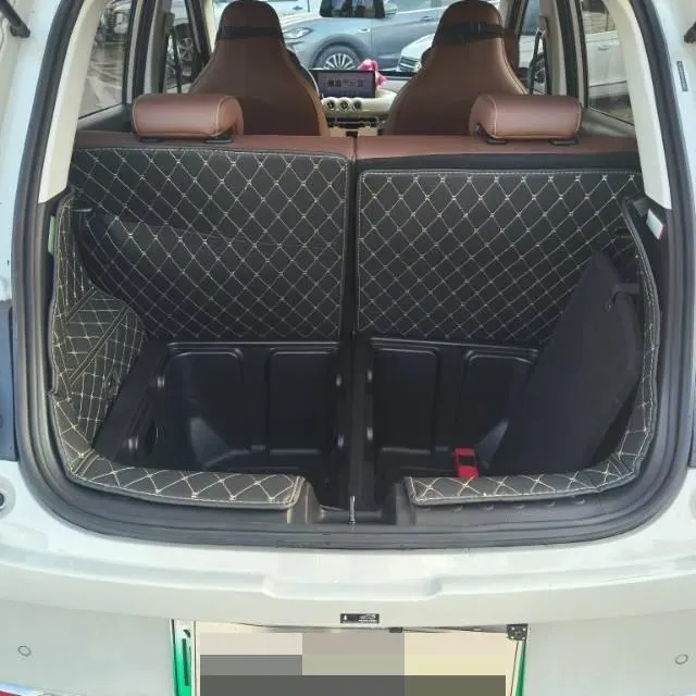 2023 WuLing BinGuo BEV 31.9KWH,autocango,china used car exporter,china ev exporter,chinese used car exporter,chinese used ev exporter