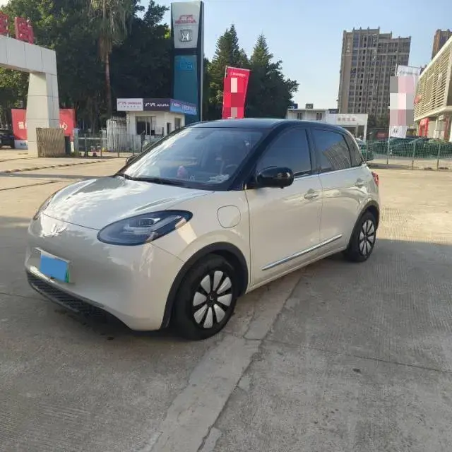 2023 WuLing BinGuo BEV 31.9KWH