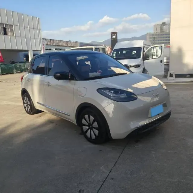 2023 WuLing BinGuo BEV 31.9KWH,autocango,china used car exporter,china ev exporter,chinese used car exporter,chinese used ev exporter