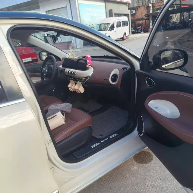 2023 WuLing BinGuo BEV 31.9KWH,autocango,china used car exporter,china ev exporter,chinese used car exporter,chinese used ev exporter