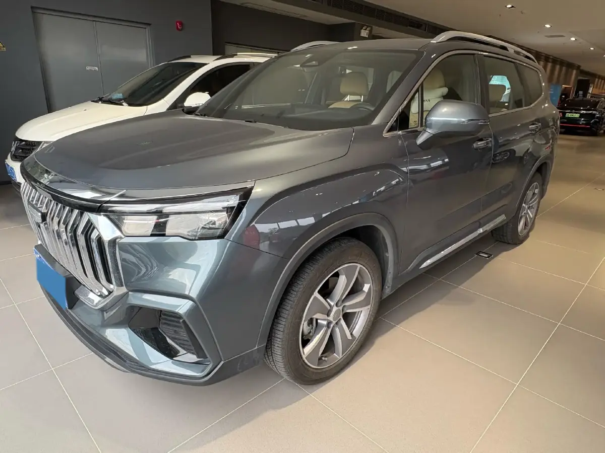 2023 Geely Okavango L 2.0T 218HP L4 7DCT