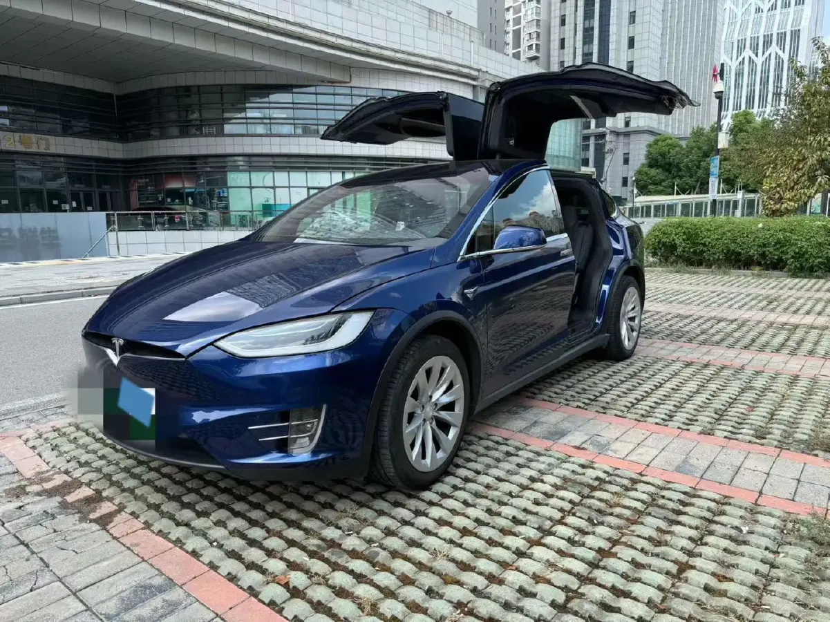 2019 Tesla Model X BEV 100KWH