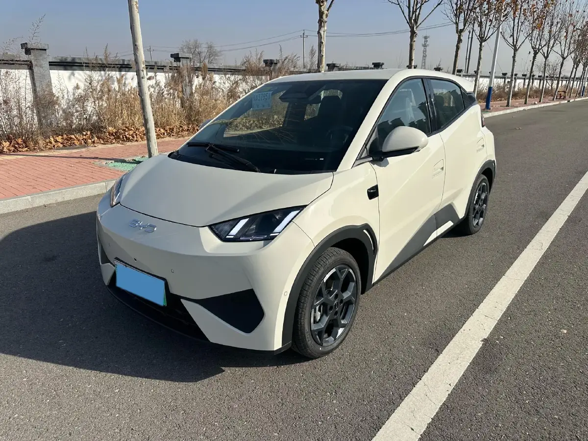 2025 BYD Seagull BEV 30.08KWH