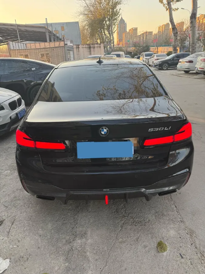 2020 BMW 5 Series 2.0T 252HP L4 8AT,autocango,china used car exporter,china ev exporter,chinese used car exporter,chinese used ev exporter