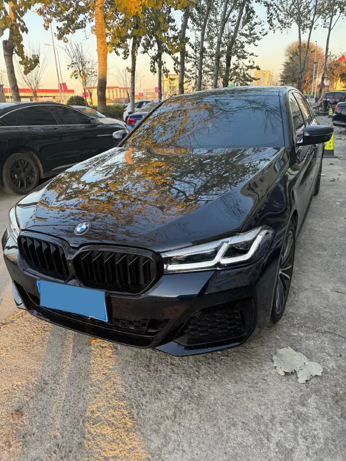 2020 BMW 5 Series 2.0T 252HP L4 8AT 2020 BMW 5 Series 2.0T 252HP L4 8AT