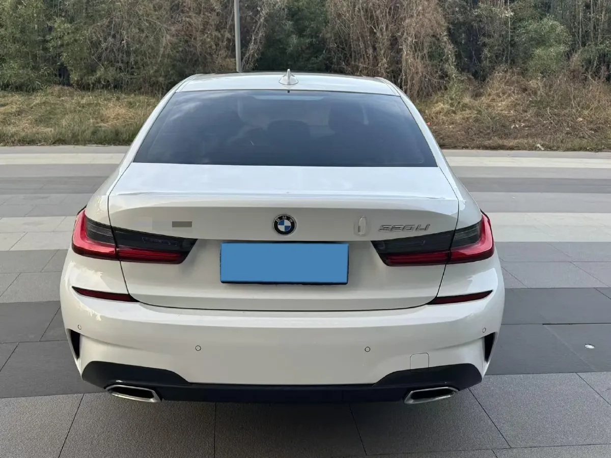 2020 BMW 3 Series 2.0T 156HP L4 8AT,autocango,china used car exporter,china ev exporter,chinese used car exporter,chinese used ev exporter