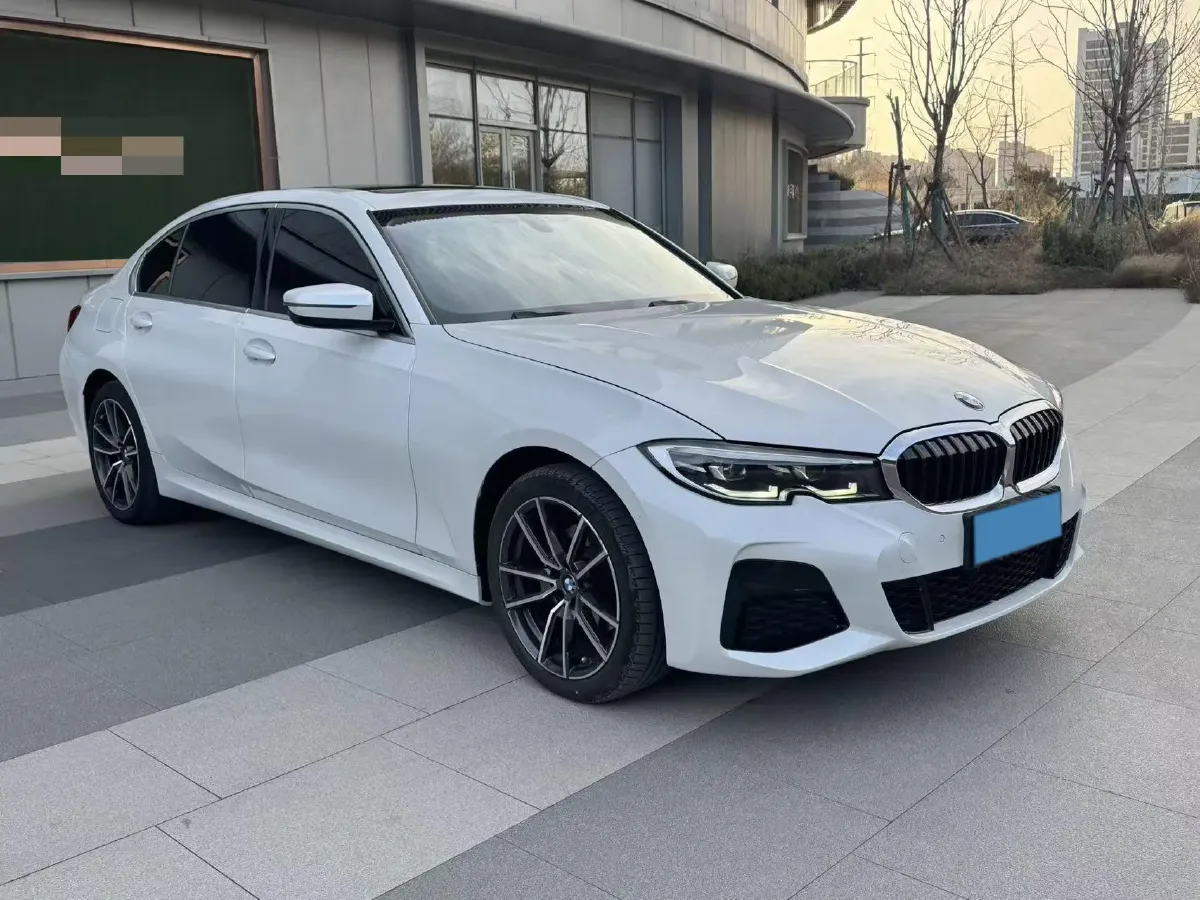2020 BMW 3 Series 2.0T 156HP L4 8AT,autocango,china used car exporter,china ev exporter,chinese used car exporter,chinese used ev exporter