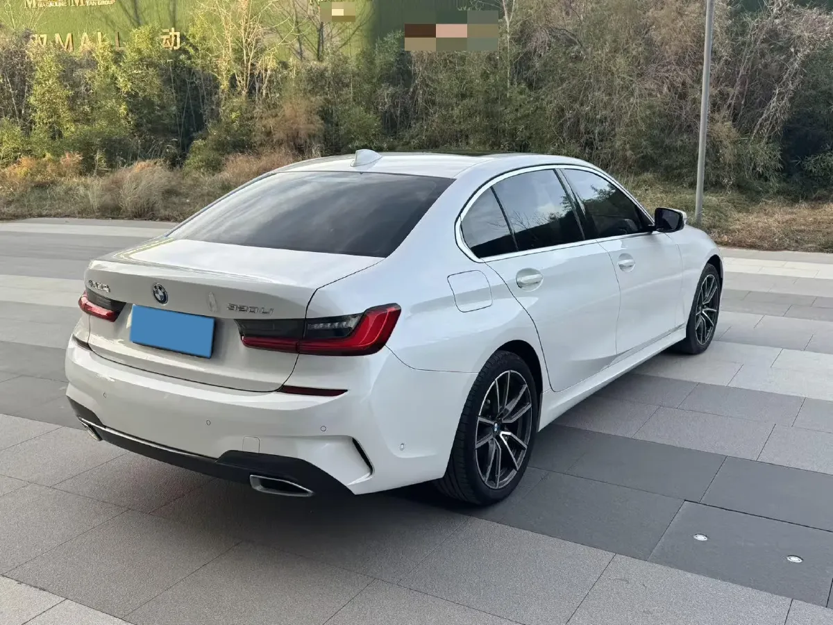 2020 BMW 3 Series 2.0T 156HP L4 8AT,autocango,china used car exporter,china ev exporter,chinese used car exporter,chinese used ev exporter