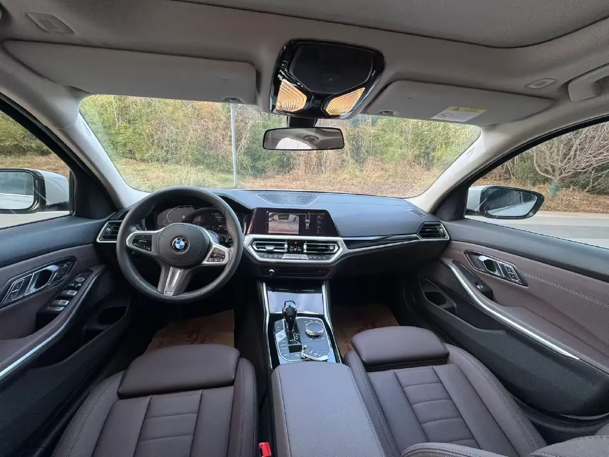 2020 BMW 3 Series 2.0T 156HP L4 8AT,autocango,china used car exporter,china ev exporter,chinese used car exporter,chinese used ev exporter