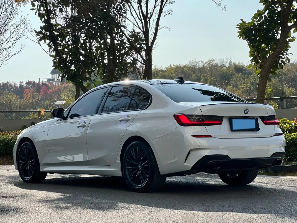 2021 BMW 3 Series 2.0T 184HP L4 8AT,autocango,china used car exporter,china ev exporter,chinese used car exporter,chinese used ev exporter