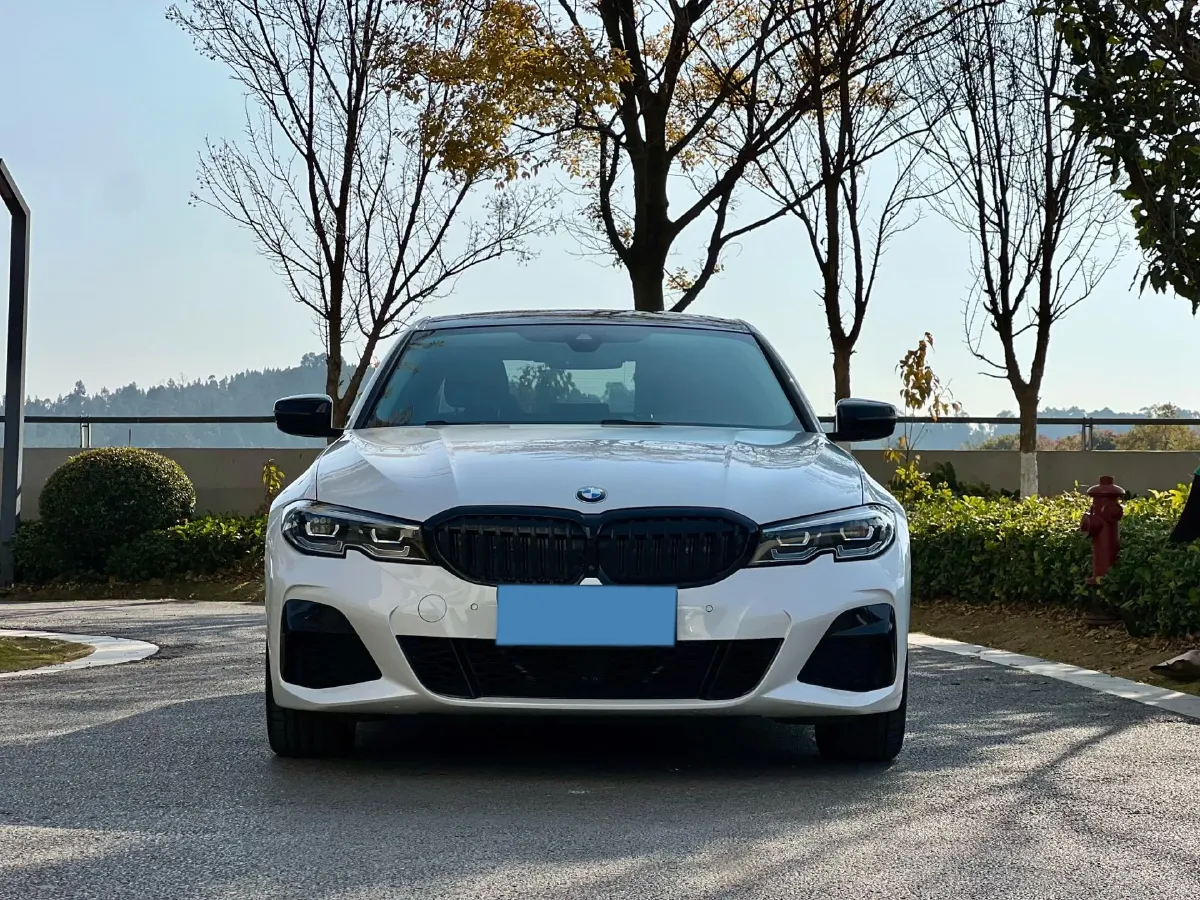 2021 BMW 3 Series 2.0T 184HP L4 8AT,autocango,china used car exporter,china ev exporter,chinese used car exporter,chinese used ev exporter