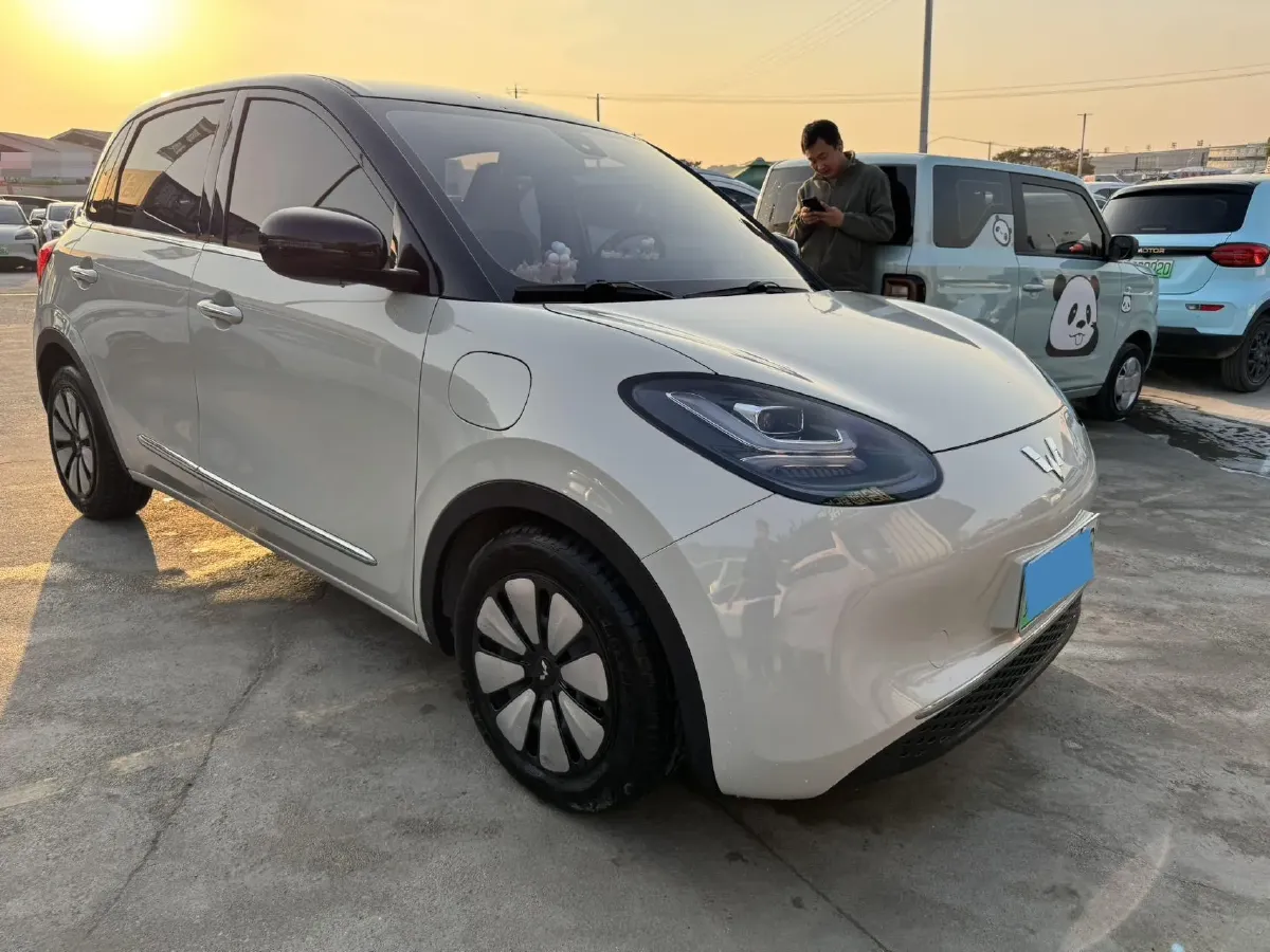 2023 WuLing BinGuo BEV 31.9KWH,autocango,china used car exporter,china ev exporter,chinese used car exporter,chinese used ev exporter