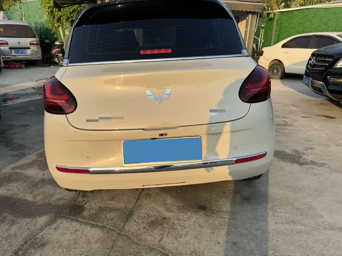 2023 WuLing BinGuo BEV 31.9KWH,autocango,china used car exporter,china ev exporter,chinese used car exporter,chinese used ev exporter