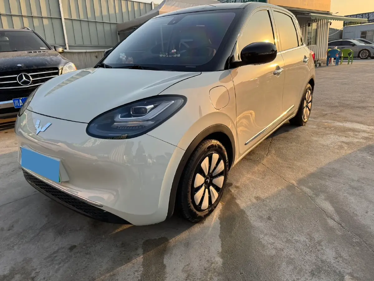 2023 WuLing BinGuo BEV 31.9KWH