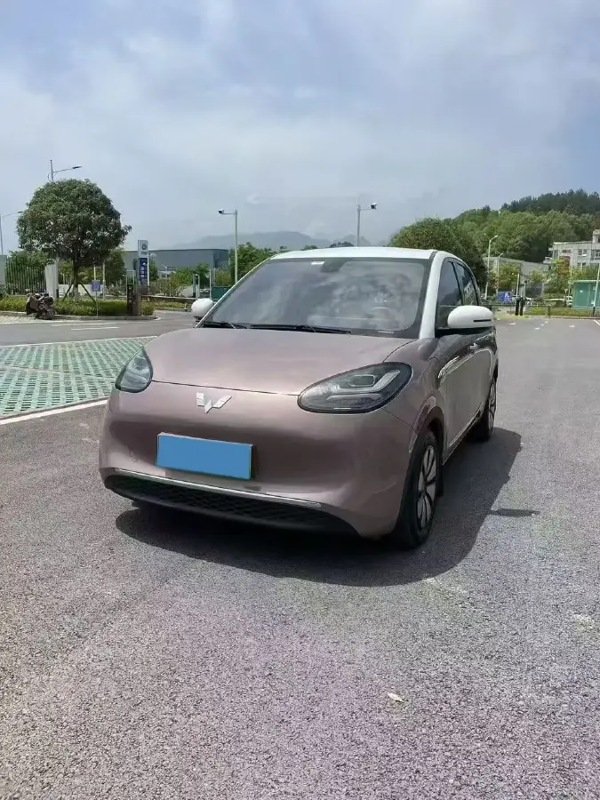 2023 WuLing BinGuo BEV 31.9KWH