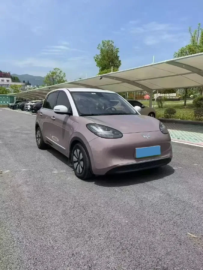 2023 WuLing BinGuo BEV 31.9KWH,autocango,china used car exporter,china ev exporter,chinese used car exporter,chinese used ev exporter
