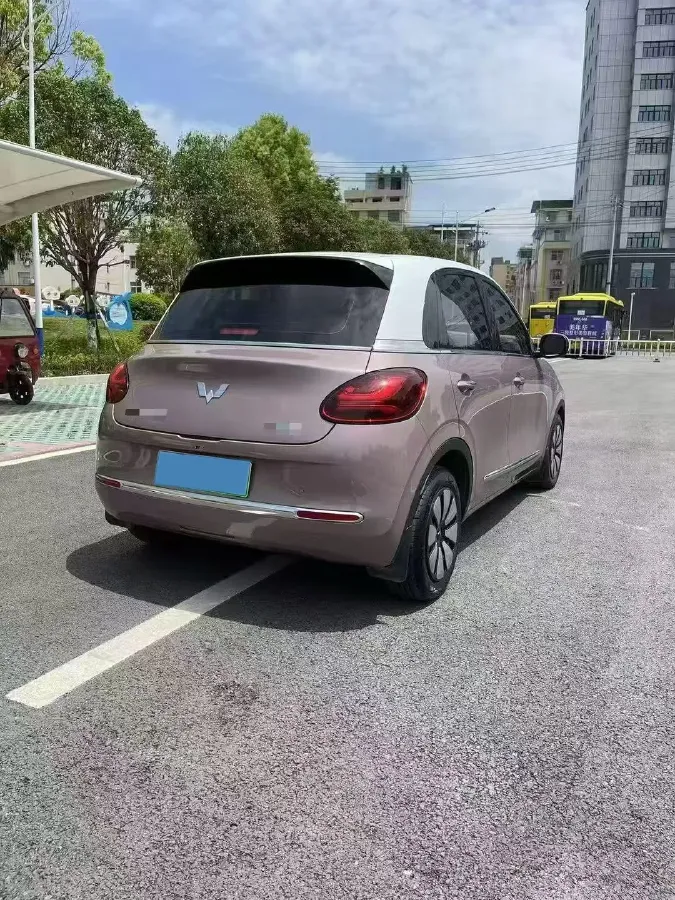2023 WuLing BinGuo BEV 31.9KWH,autocango,china used car exporter,china ev exporter,chinese used car exporter,chinese used ev exporter