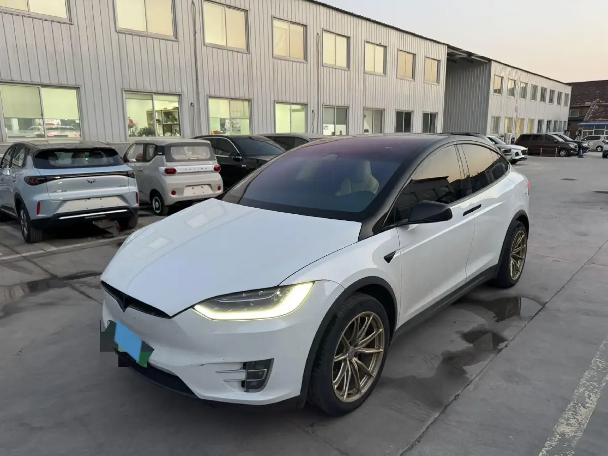 2019 Tesla Model X BEV 100KWH