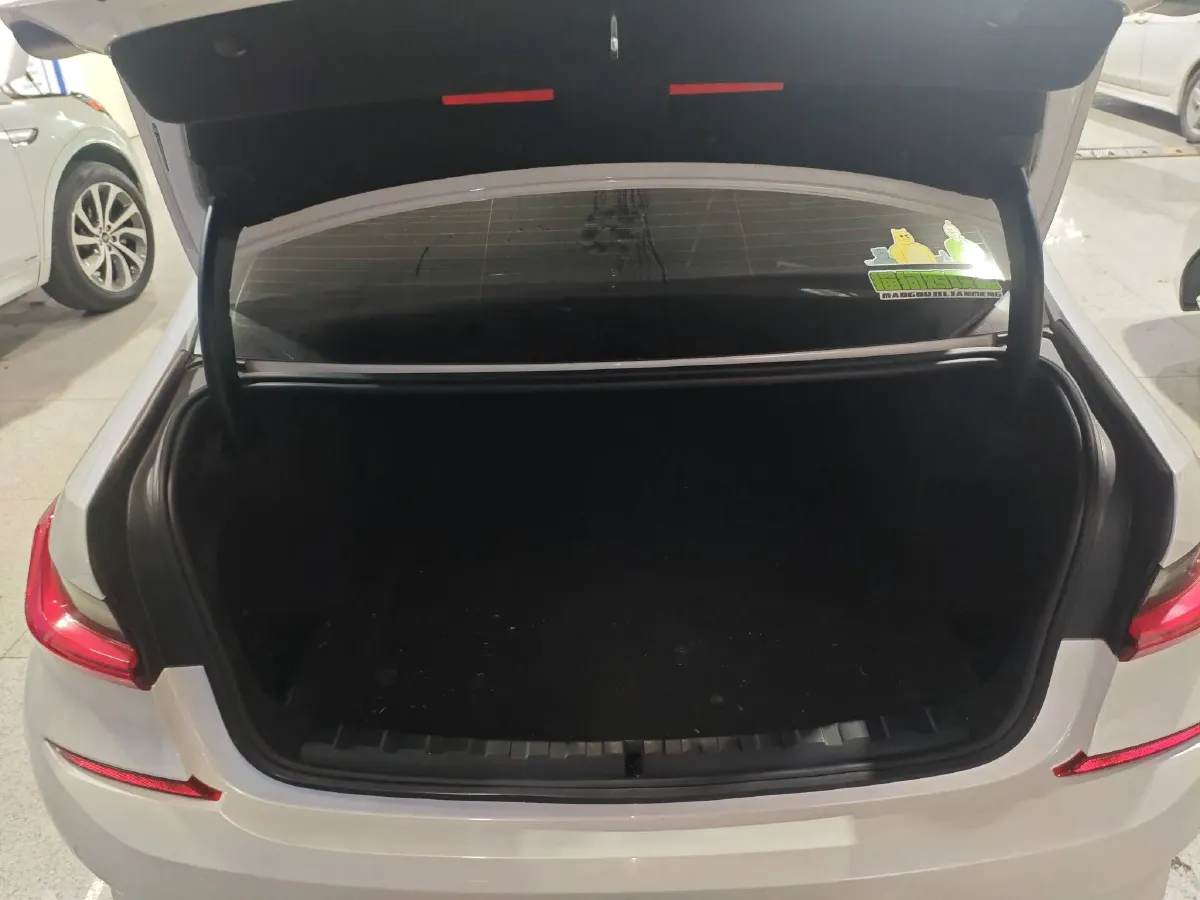 2020 BMW 3 Series 2.0T 184HP L4 8AT,autocango,china used car exporter,china ev exporter,chinese used car exporter,chinese used ev exporter