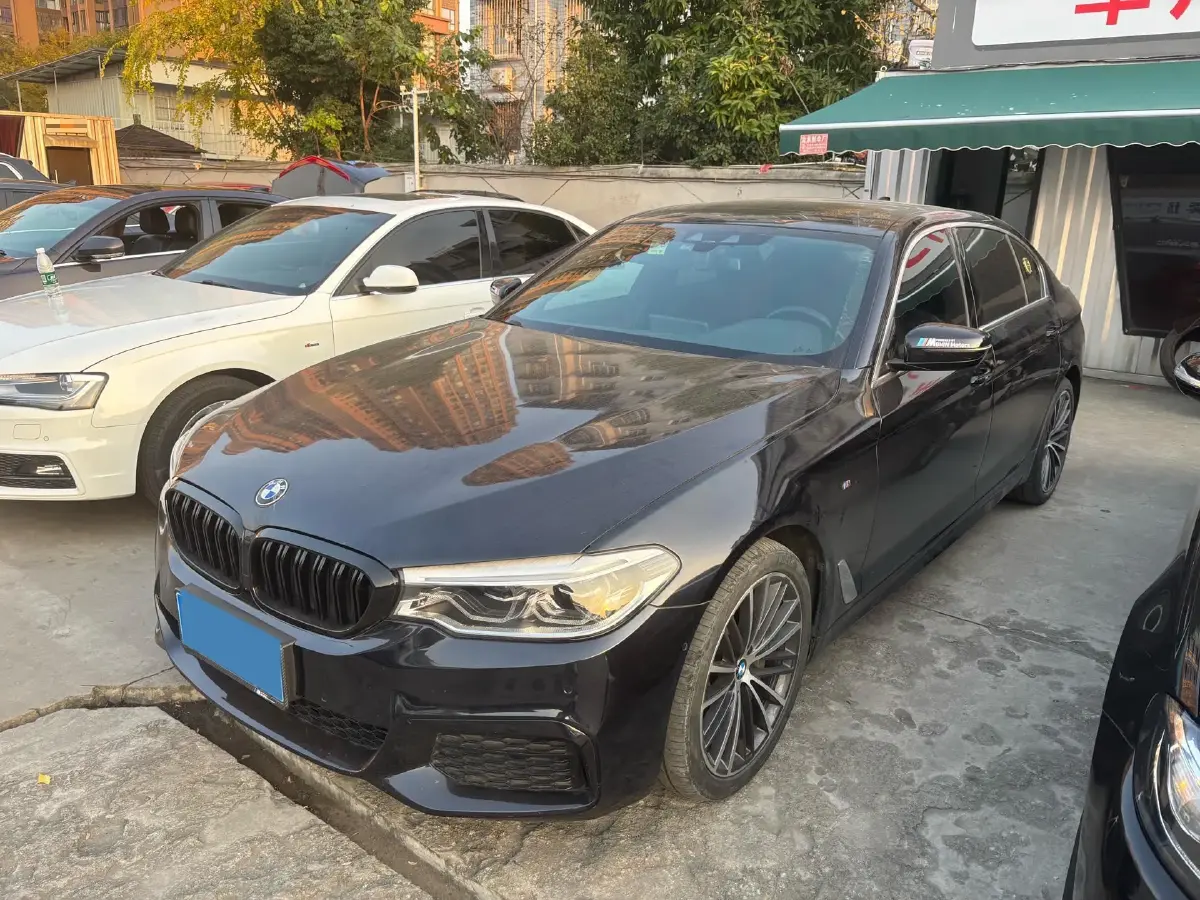 2020 BMW 5 Series 2.0T 252HP L4 8AT