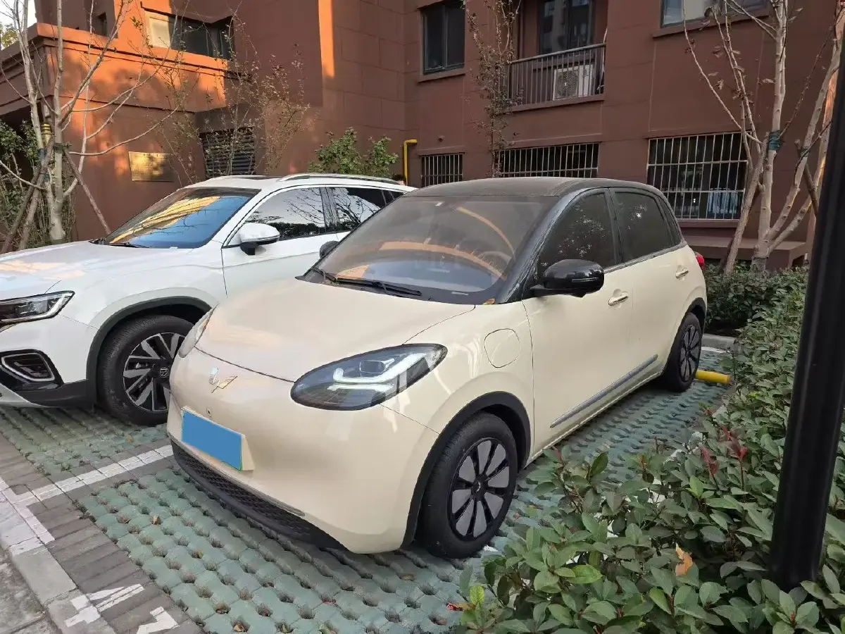 2025 WuLing BinGuo BEV