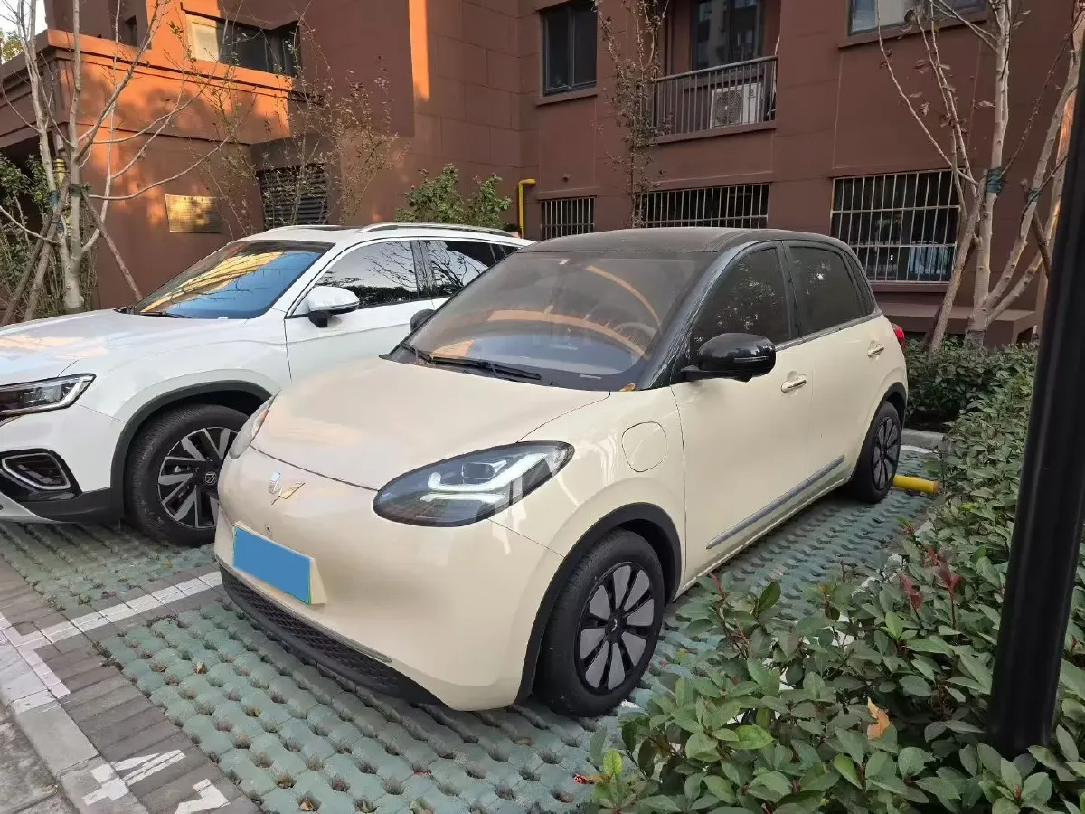 2025 WuLing BinGuo BEV,autocango,china used car exporter,china ev exporter,chinese used car exporter,chinese used ev exporter