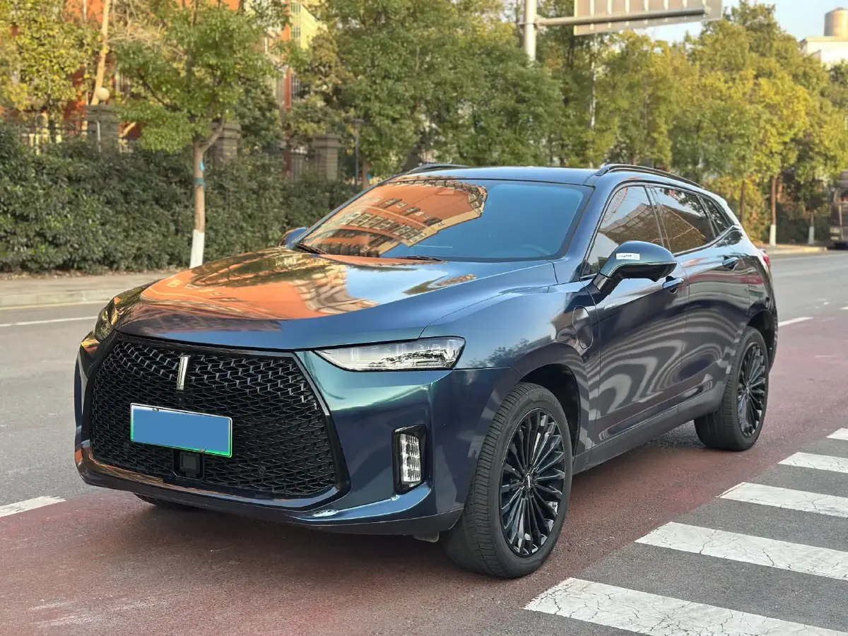 2018 WEY P8 2.0T 234HP L4 6DCT PHEV 12.96KWH