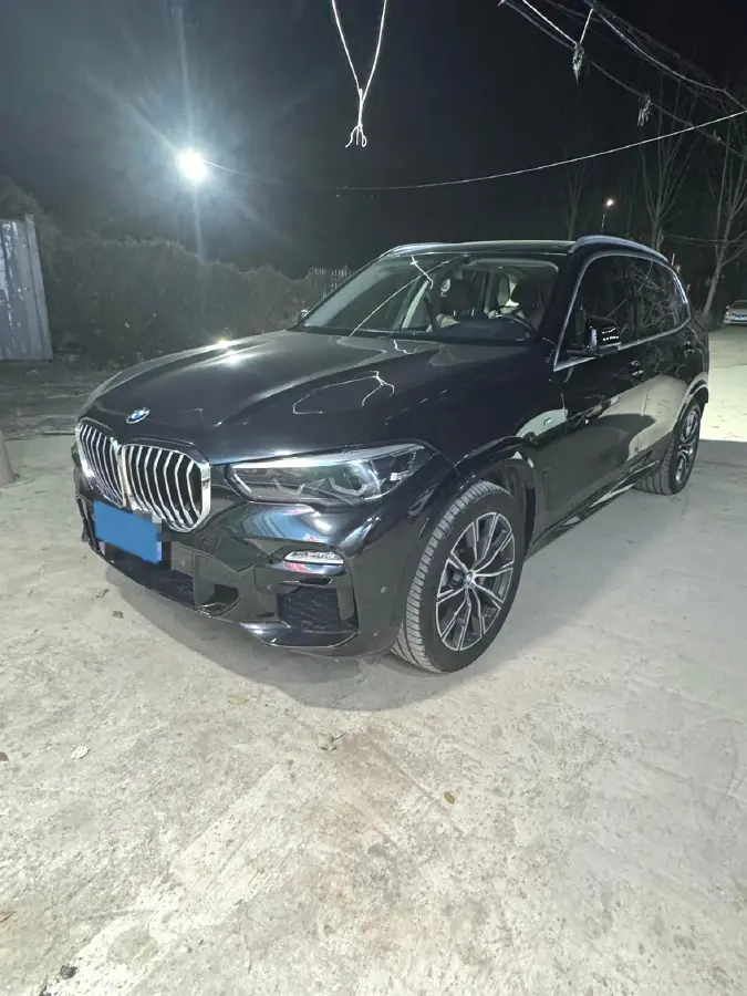 2020 BMW X5 2.0T 265HP L4 8AT 2020 BMW X5 2.0T 265HP L4 8AT