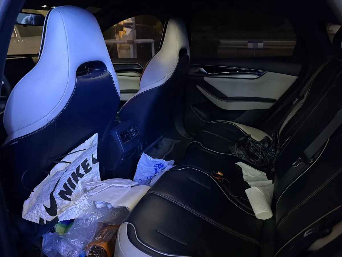 2021 DongFeng FuKang e Elysee BEV 38.4KWH,autocango,china used car exporter,china ev exporter,chinese used car exporter,chinese used ev exporter