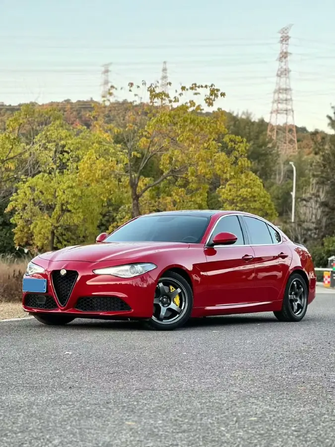 2017 Ford Mustang 2.3T 314HP L4 6AT