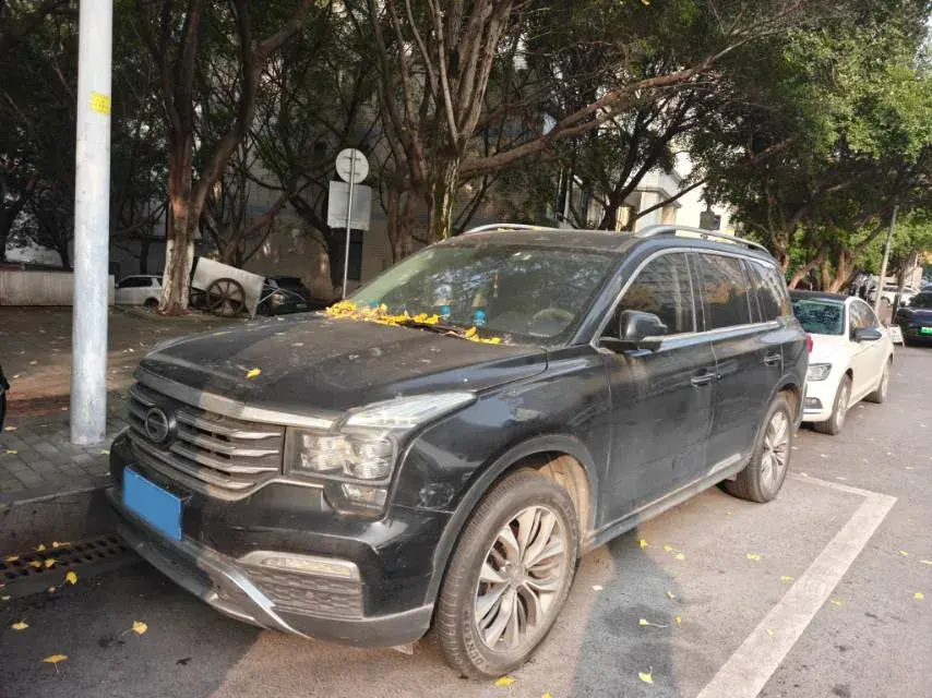 2017 GAC Trumpchi GS8 2.0T 201HP L4 6AT