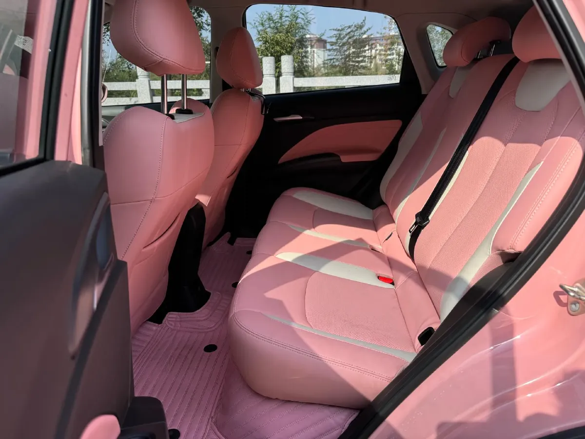 2021 Neta V BEV 38.54KWH,autocango,china used car exporter,china ev exporter,chinese used car exporter,chinese used ev exporter