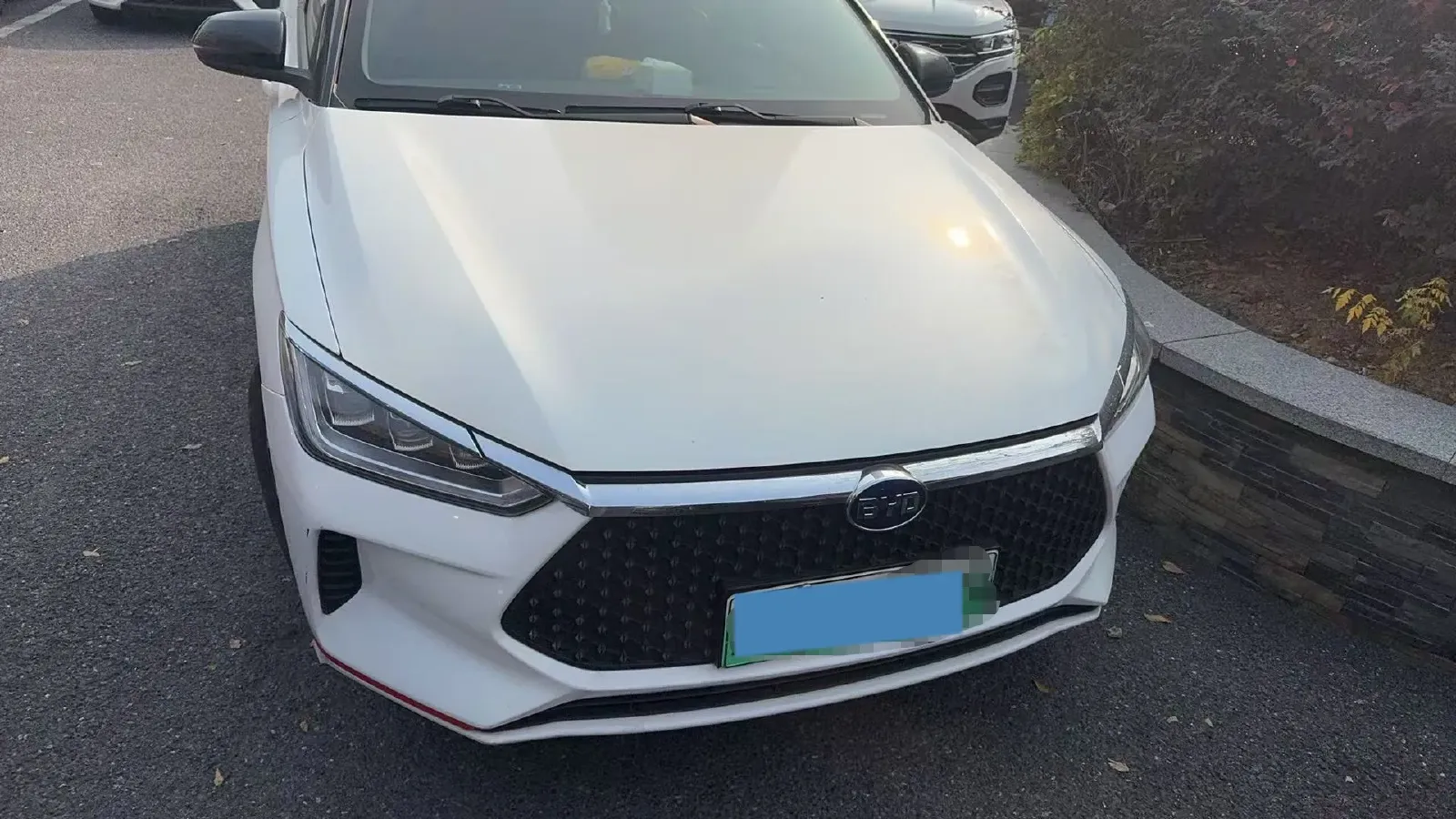 2019 BYD e2 BEV 35.2KWH,autocango,china used car exporter,china ev exporter,chinese used car exporter,chinese used ev exporter