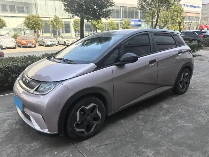 2021 BYD Dolphin BEV 44.9KWH
