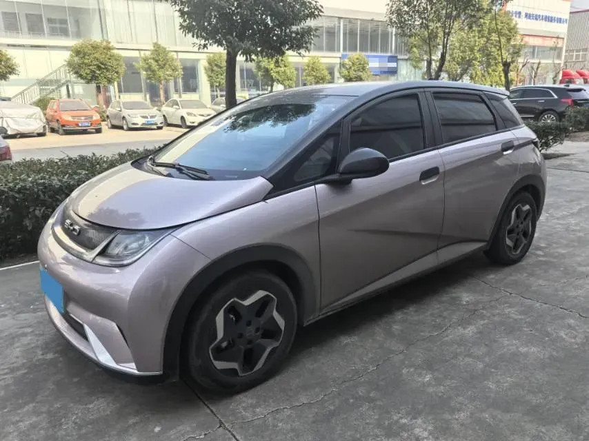 2021 BYD Dolphin BEV 44.9KWH,autocango,china used car exporter,china ev exporter,chinese used car exporter,chinese used ev exporter