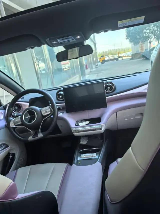 2021 BYD Dolphin BEV 44.9KWH,autocango,china used car exporter,china ev exporter,chinese used car exporter,chinese used ev exporter