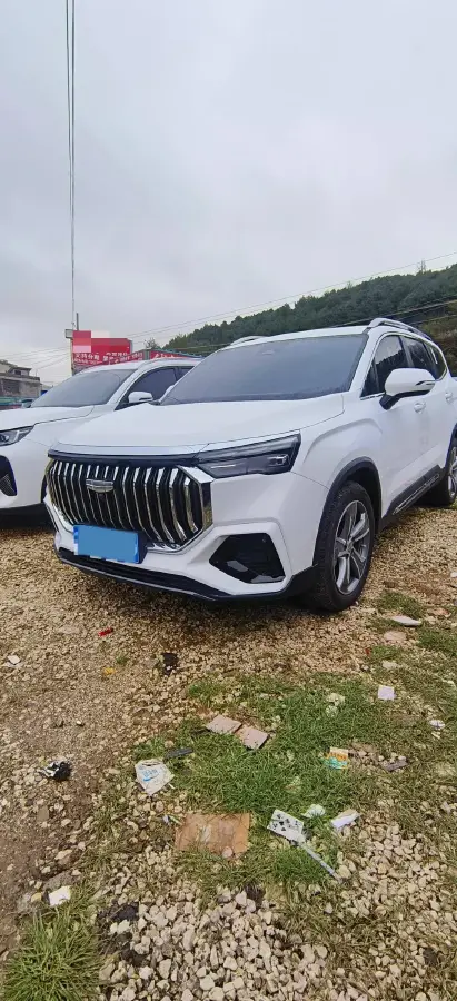 2024 Geely Okavango L 2.0T 218HP L4 7DCT