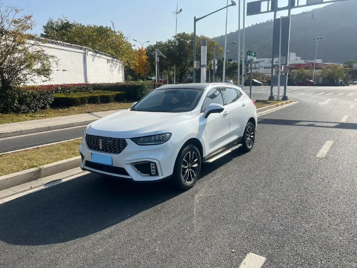 2021 WEY VV5 1.5T 171HP L4 7DCT