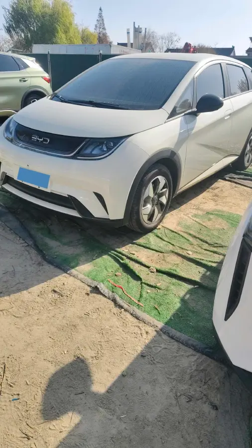 2025 BYD Dolphin BEV 44.928KWH