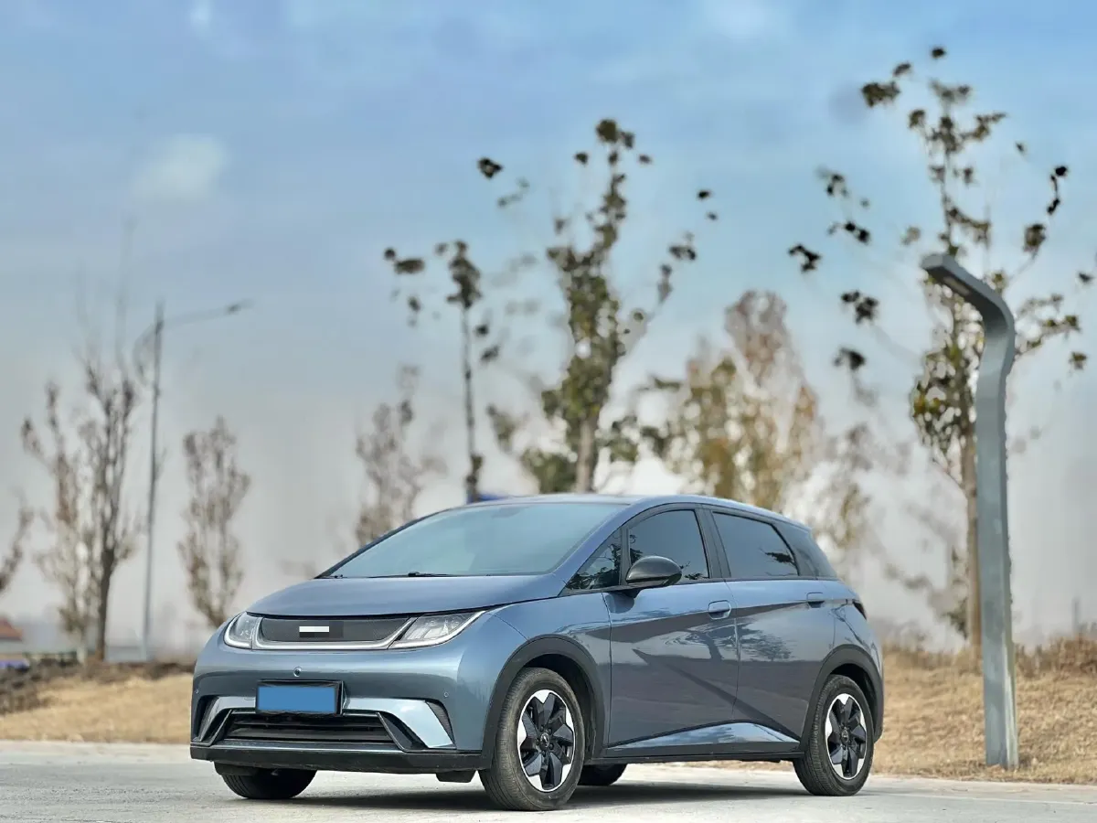 2024 BYD Dolphin BEV 44.928KWH,autocango,china used car exporter,china ev exporter,chinese used car exporter,chinese used ev exporter