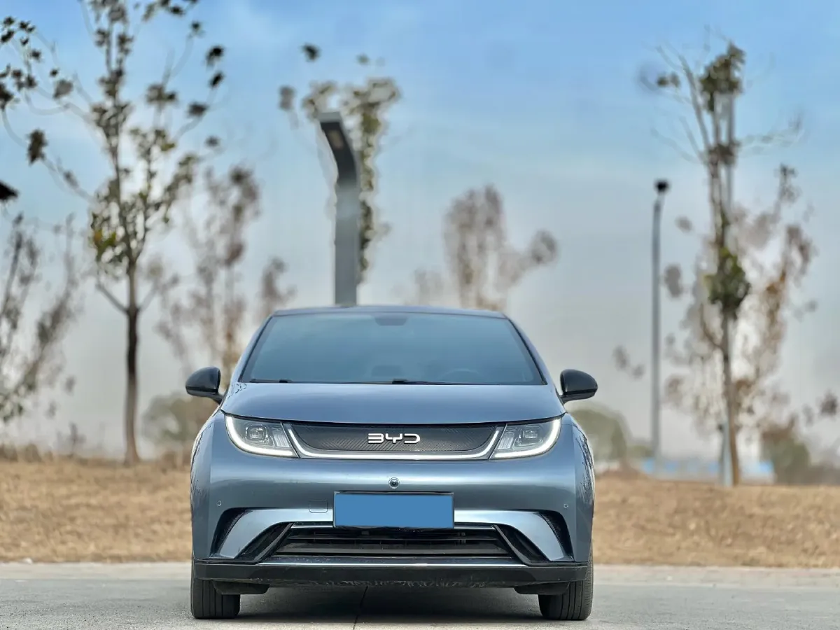 2024 BYD Dolphin BEV 44.928KWH,autocango,china used car exporter,china ev exporter,chinese used car exporter,chinese used ev exporter