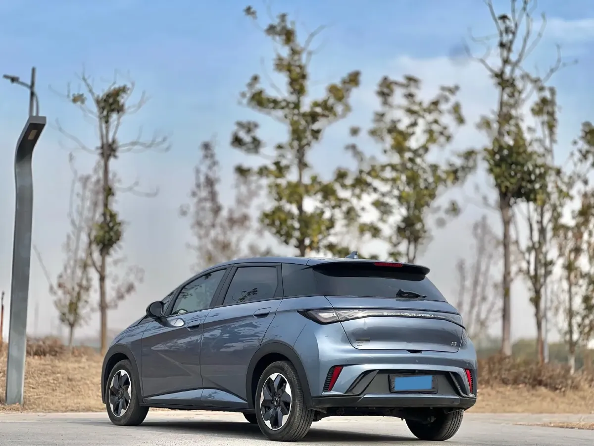 2024 BYD Dolphin BEV 44.928KWH,autocango,china used car exporter,china ev exporter,chinese used car exporter,chinese used ev exporter