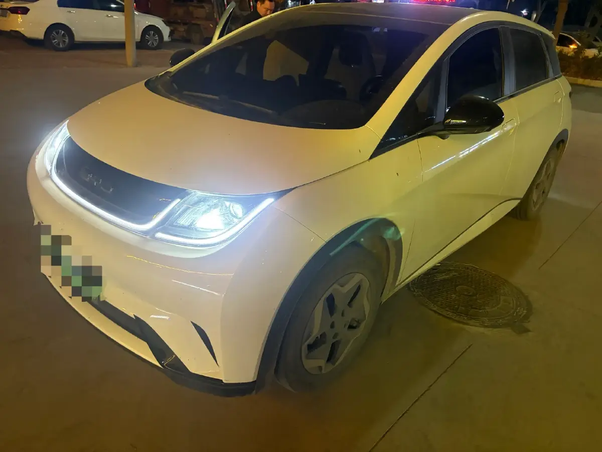 2021 BYD Yuan Pro BEV 50.1KWH