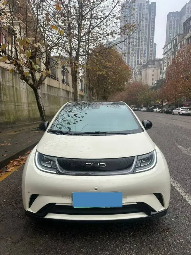 2023 BYD Dolphin BEV 44.928KWH,autocango,china used car exporter,china ev exporter,chinese used car exporter,chinese used ev exporter