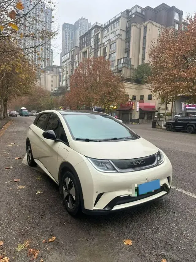2023 BYD Dolphin BEV 44.928KWH,autocango,china used car exporter,china ev exporter,chinese used car exporter,chinese used ev exporter