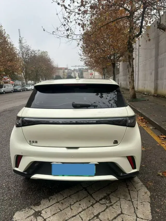 2023 BYD Dolphin BEV 44.928KWH,autocango,china used car exporter,china ev exporter,chinese used car exporter,chinese used ev exporter