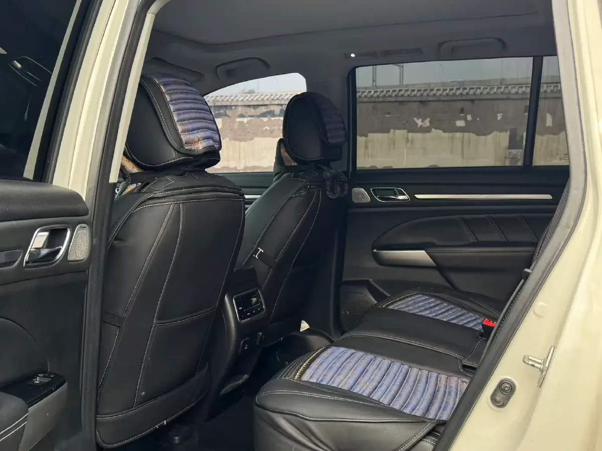 2021 GAC Trumpchi GS8 2.0T 252HP L4 6AT,autocango,china used car exporter,china ev exporter,chinese used car exporter,chinese used ev exporter